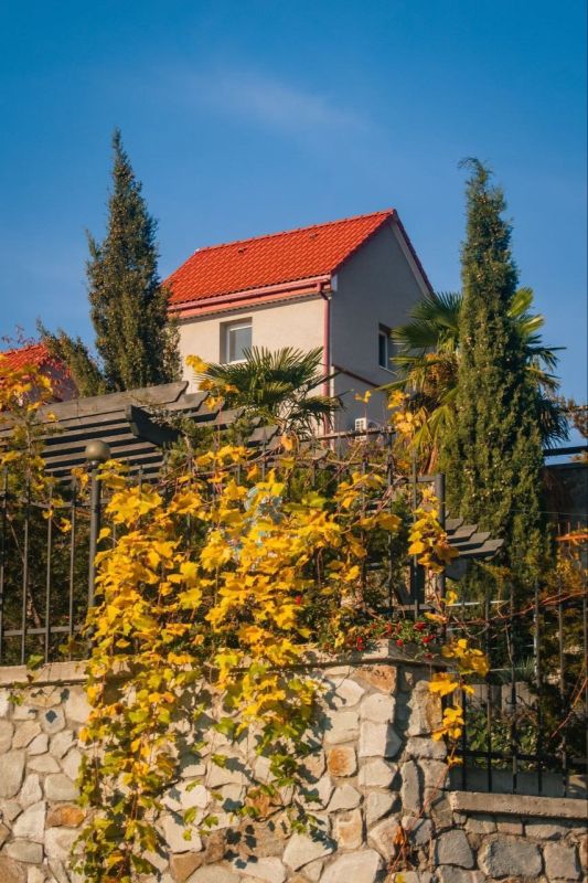 ����� � ������������ ������