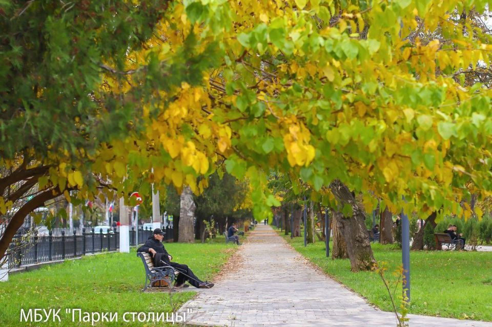 ������ ����� � ������ �� �������� ������