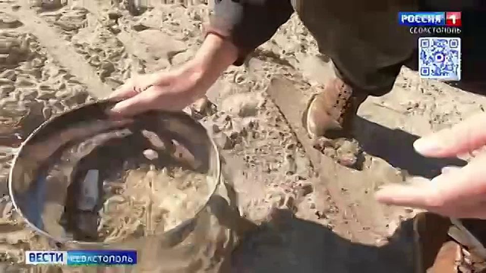 В мировом океане растет концентрация мусора и микропластика