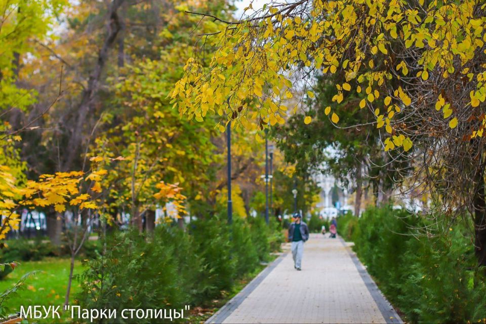 ������ ����� � ������ �� �������� ������