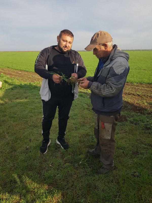 ����������� ������ �� �������� ��������� ��������� ���������� ���������� ��������� ������� ������ ������� � �������������������� ������������ ������