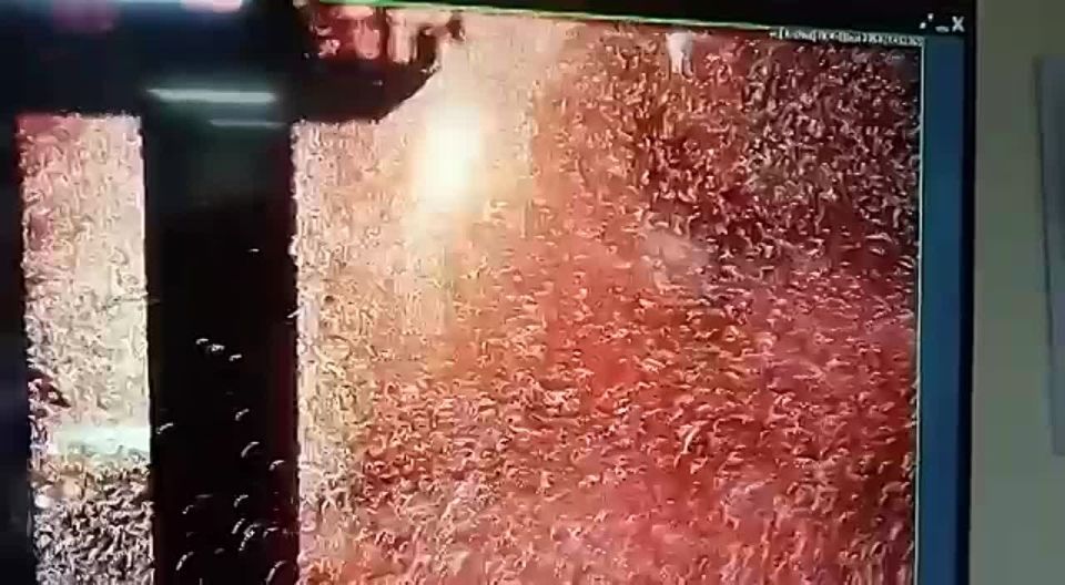 Восемь участников теракта на Крымском мосту проведут остаток жизни в тюрьме — суд в Ростове дал им пожизненные сроки