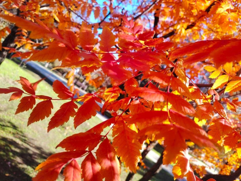 � ������ �����, �������!. ����� ���� ���� ������� ��� ������ �������� ������! ������� � �������� �������, t + 9 - +14, ����� ������, ���-��������