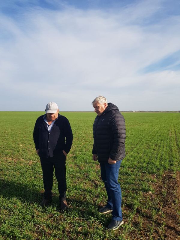 ����������� ������ �� �������� ��������� ��������� ���������� ���������� ��������� ������� ������ ������� � �������������������� ������������ ������