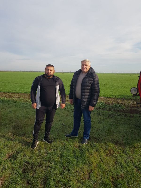 ����������� ������ �� �������� ��������� ��������� ���������� ���������� ��������� ������� ������ ������� � �������������������� ������������ ������