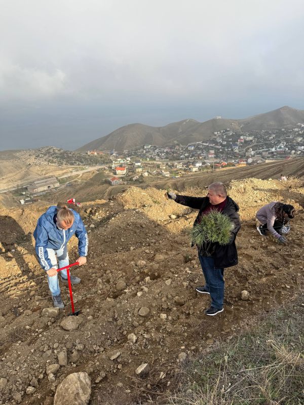 ������ ��� ������������ ���������� ����������� ����������� ������������� ����� ��������� ���