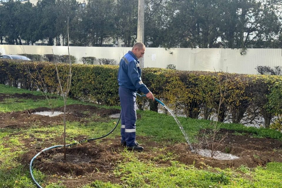 ��������� �����: ��� ��������, ���������� � ������ ���������� ������, �������� � ������ ������