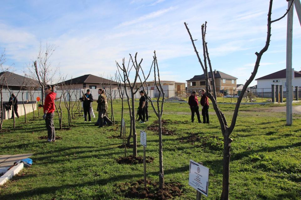 ����� ������������ ������ ����� � ���� ������� ��������� � ��������� ������� ���������� ��������