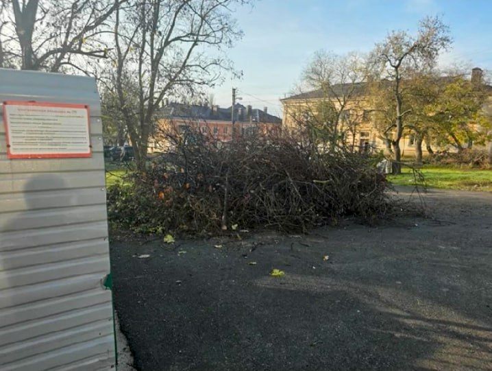 ���� �������: ������� ����������� ��������� ������� � ������� ����� ��������� �� ���������� ��������