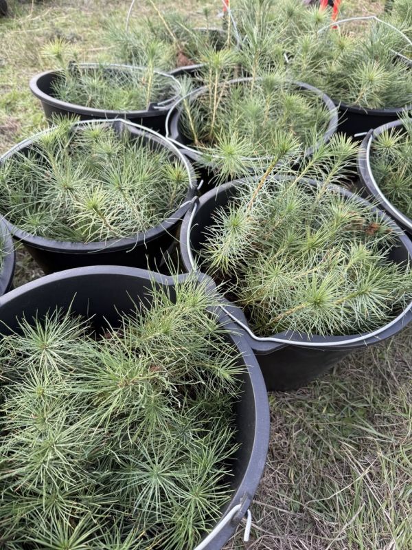 ��� ��������� �������� ����� 2,7 ����� ��������