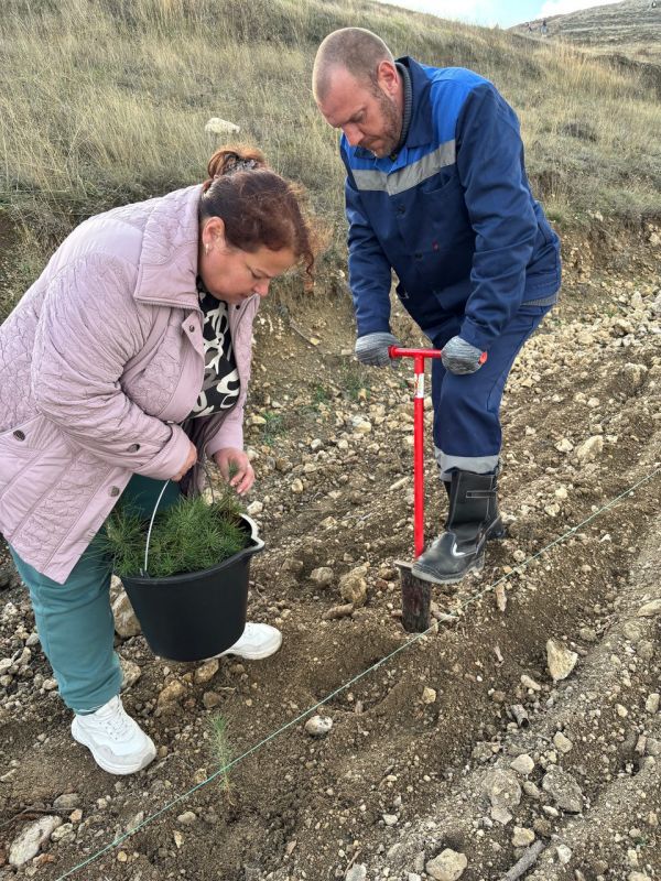 ����������� ���������� ������� ��� �� ���������������� ������� ������� � ���������� ��������� ������������ ����������� ������������� ����� ��������� ���, ��������������� ������������� �������� � ��������� ��������...