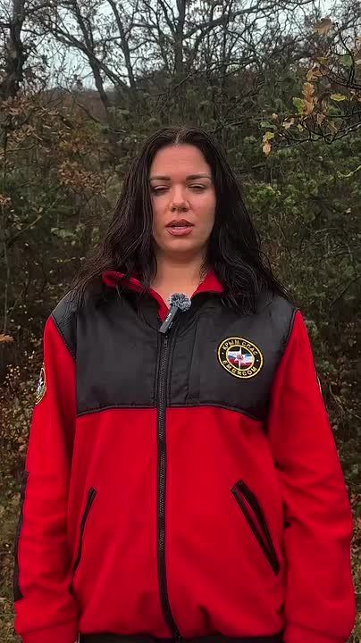 Осень продолжает радовать крымчан хорошей погодой, а это значит, что в выходные дни многие отправляются в лес собирать грибы