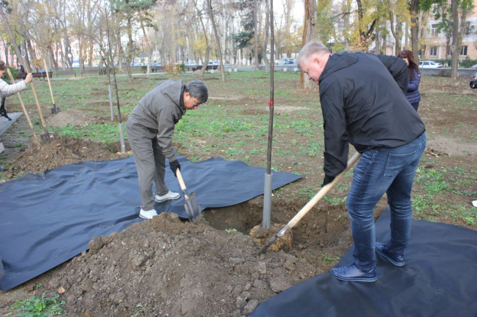 �������� ���: � ������������ ����� ������� �������� ��������������� ������� ��������