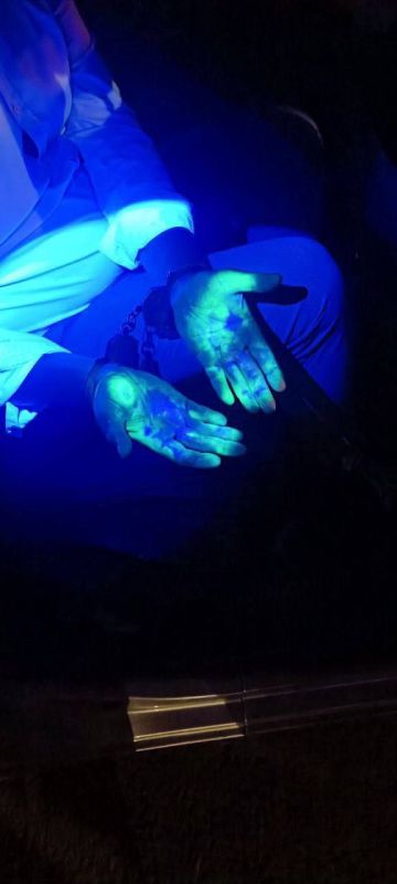 Бывший и.о. замгубернатора Севастополя Евгений Горлов получил 9,5 лет колонии строгого режима за взятку Бывший и.о. замгубернатора Севастополя Евгений Горлов получил 9,5 лет колонии строгого режима за взятку