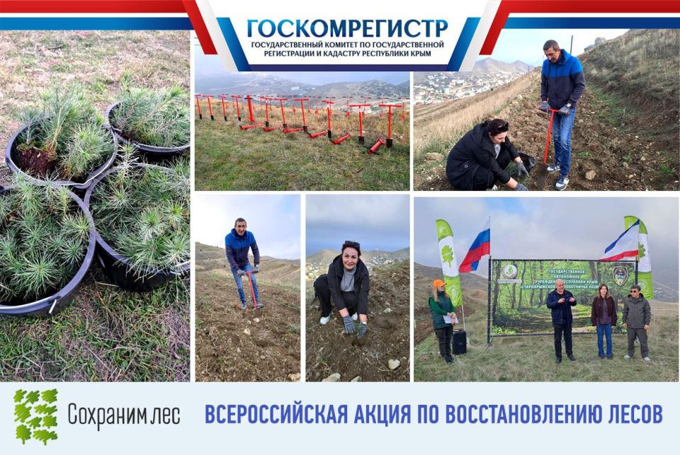 ���������� ������������� ���������� ���������� �������������� ������� ������� �� ������������� ����� ��������� ��ѻ