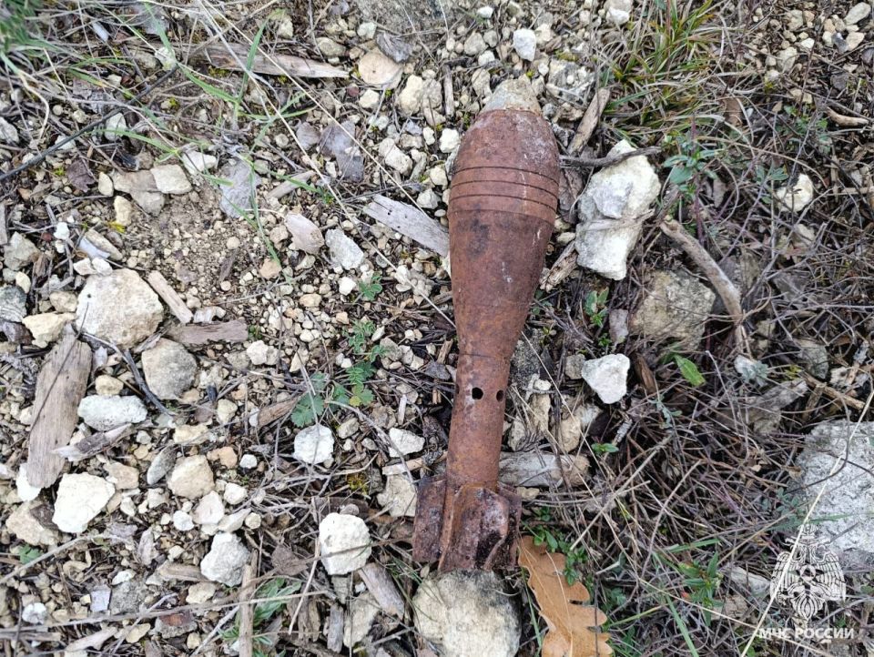 Обезврежены взрывоопасные предметы Обезврежены взрывоопасные предметы