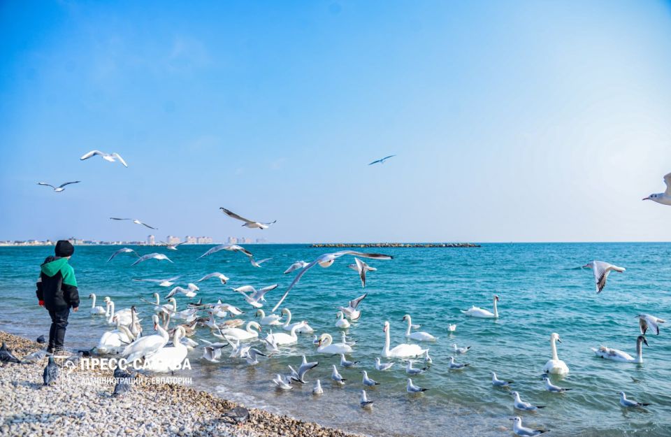 � 20 �� 26 ������ ������ � ����� ��������� ���� ������ 16 �������������