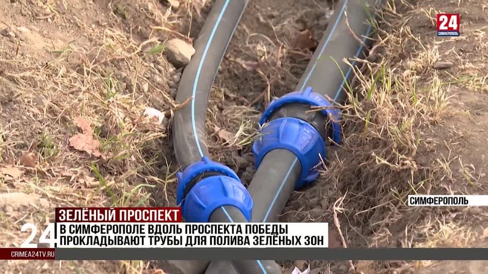 В Симферополе вдоль проспекта Победы прокладывают трубы для полива зеленых зон
