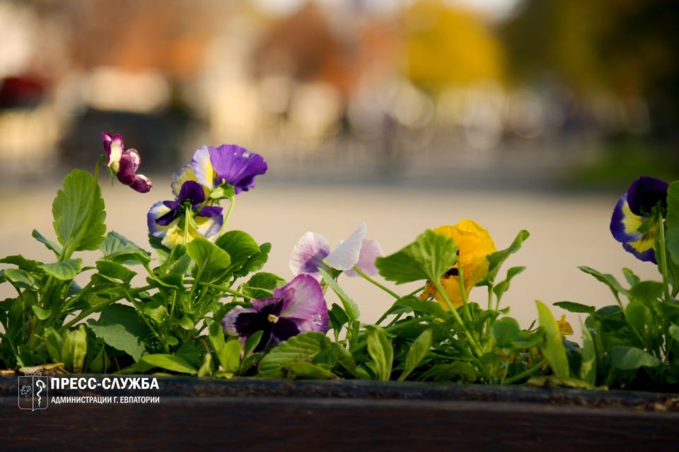 ������ ����, ���������!. ����������� ������� ���������� ������� �� +16��