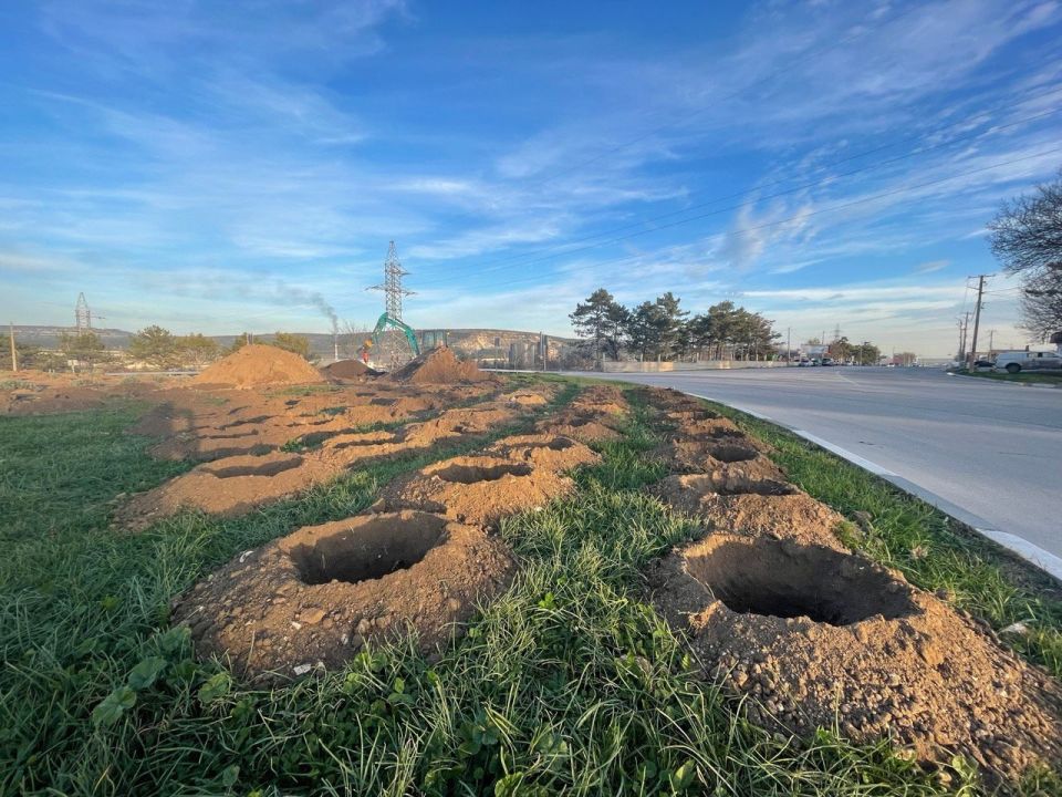 Дмитрий Скобликов: на въездном кольце со стороны Симферополя стартовали работы по созданию уникального ландшафтного объекта — «Лавандовое кольцо» Дмитрий Скобликов: на въездном кольце со стороны Симферополя стартовали работы по созданию уникального ландшафтного объекта — «Лавандовое кольцо»