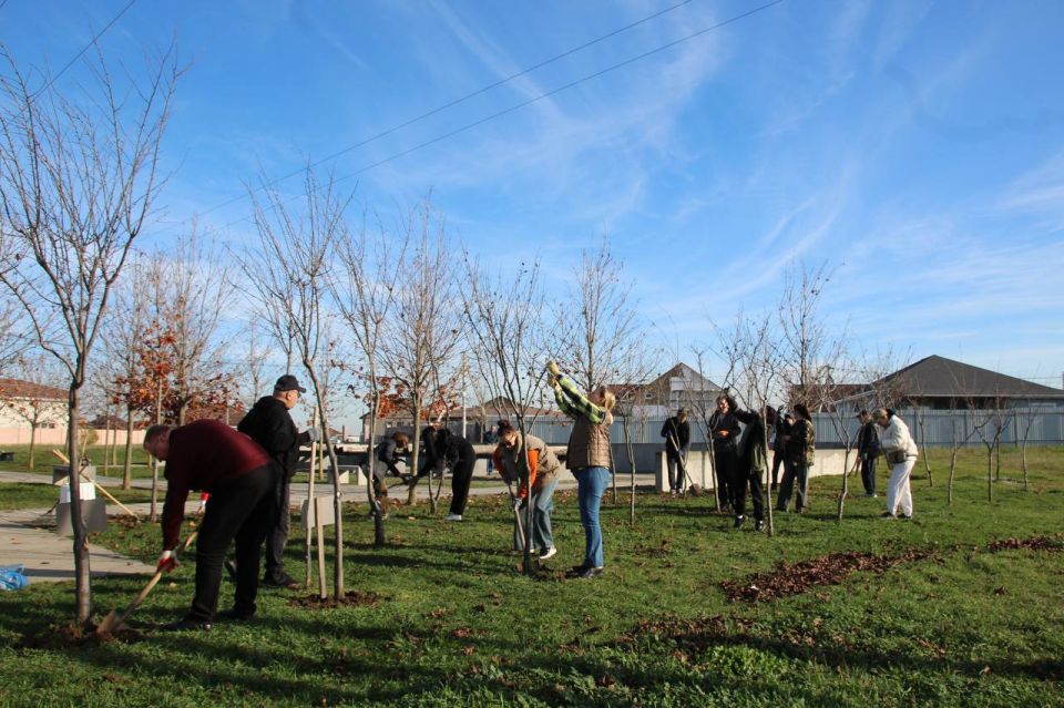 ����� ������������ ������ ����� � ���� ������� ��������� � ��������� ������� ���������� ��������