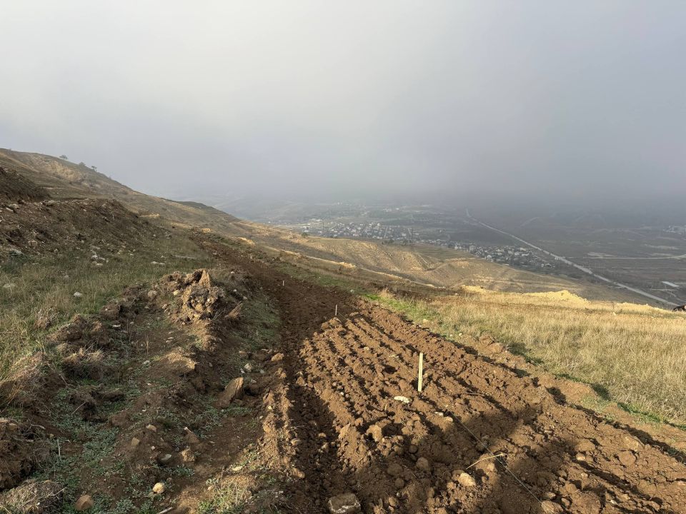 ������ ��� ������������ ���������� ����������� ����������� ������������� ����� ��������� ���