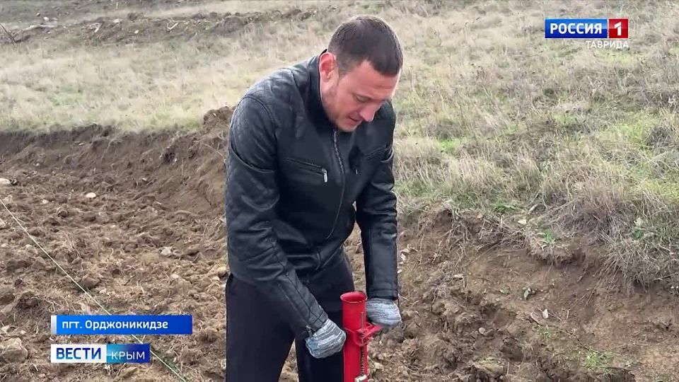 В Крыму проходит Всероссийская акция «Сохраним лес»
