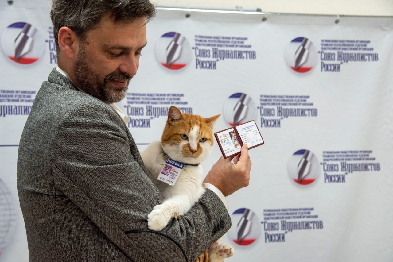 Коту Мостику 10 лет... 