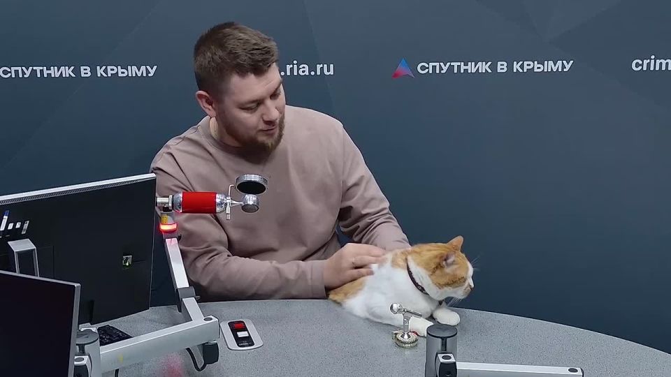 Замурррчательные новости!. В редакции праздник – юбилей у нашего шефа Котоновостей кота Мостика