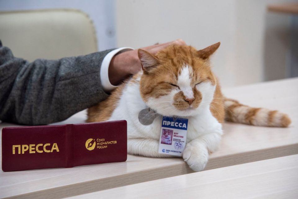 ��� ������: ������� �������� ���� � ���� ������������� �������!