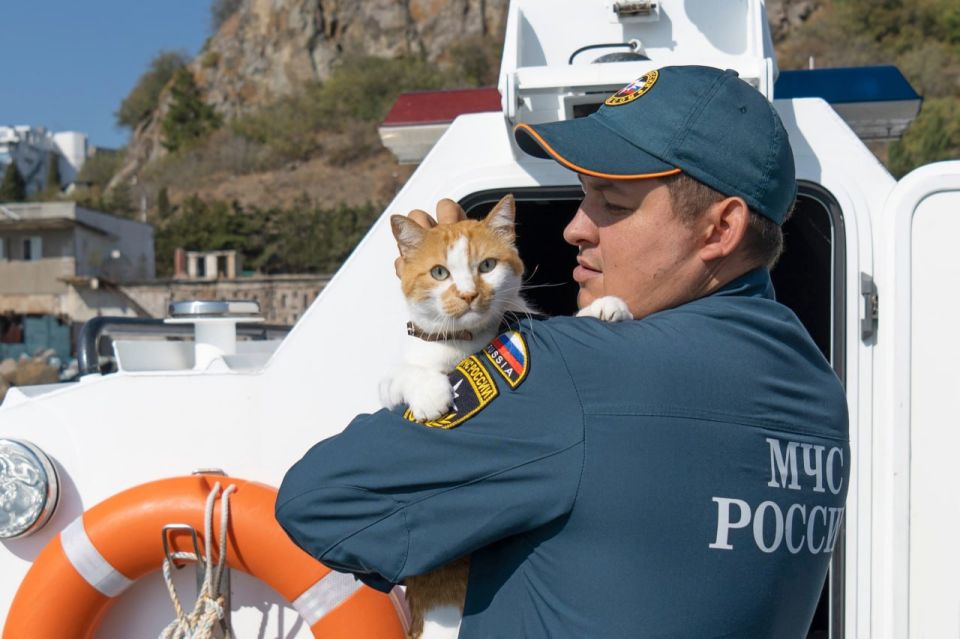 Сегодня у нашего друга и блогера Кота Мостика День рождения Сегодня у нашего друга и блогера Кота Мостика День рождения