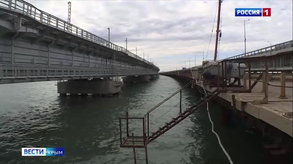 Сегодня у символа строительства Крымского моста — кота Мостика — юбилей