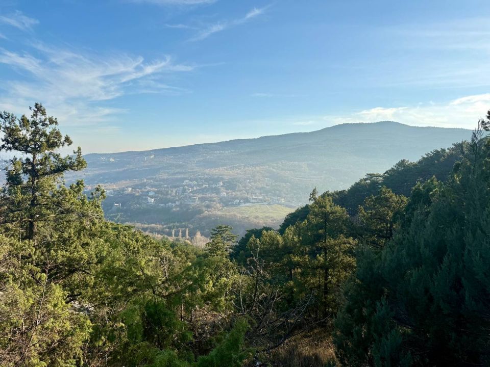 ���� ����: � ���� ����