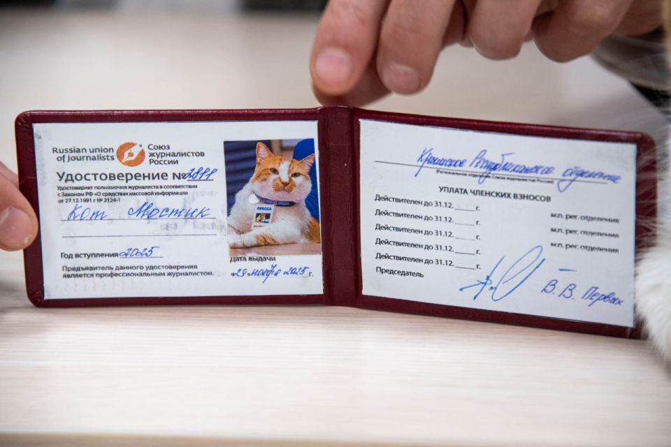 ��� ������: ������� �������� ���� � ���� ������������� �������!