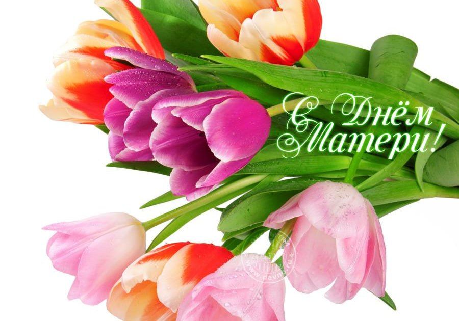 ��������� ��������: ������� �������, ����! �������� ���������� ��� � ����� �� ����� ������ � �������� ���������� - ���� ������!