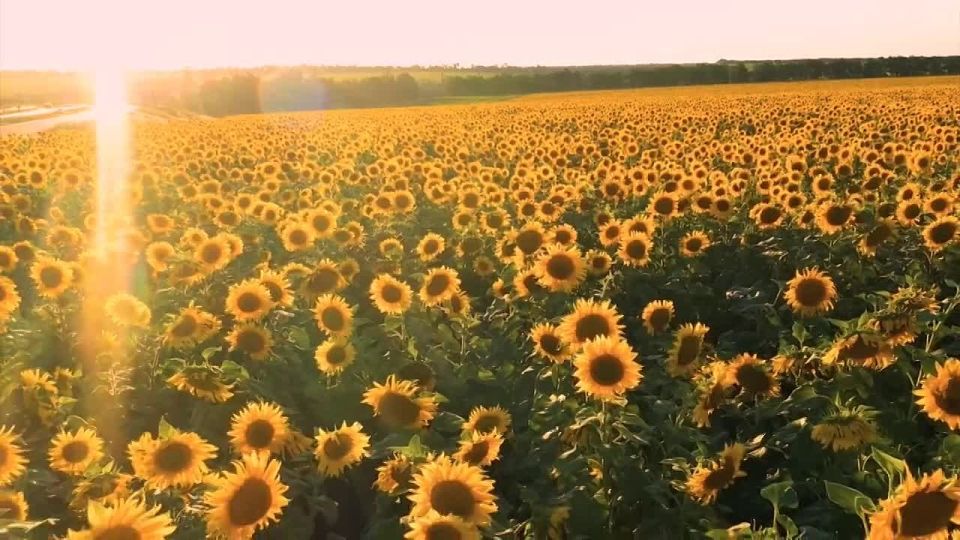 Стихотворение собственного сочинения посвятил матерям росгвардеец из Крыма