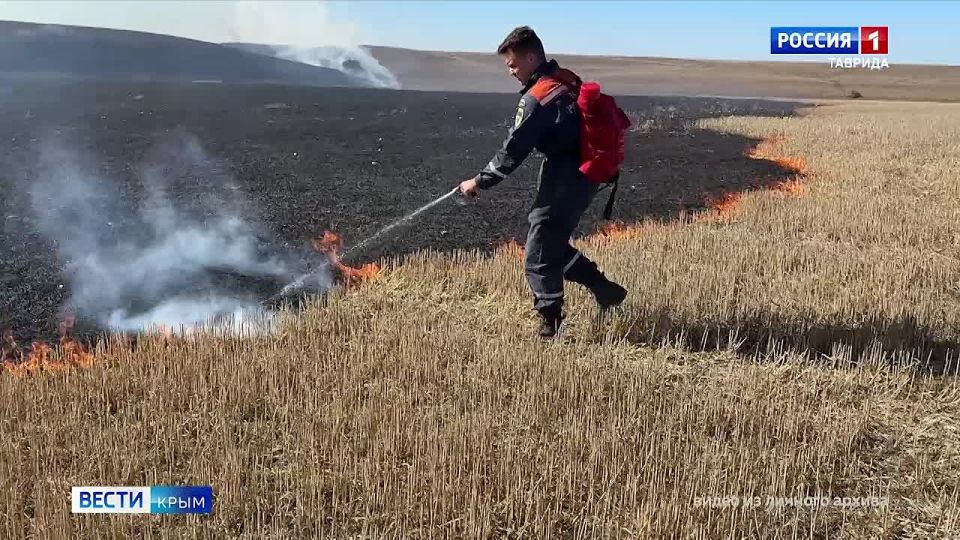 Сегодня в России отмечают День матери