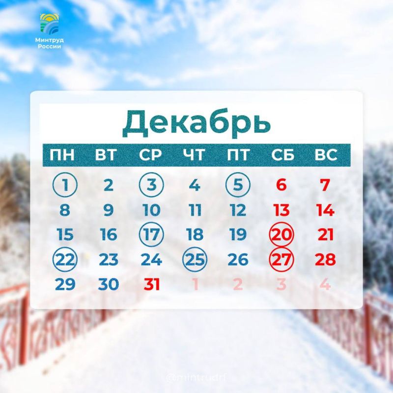 Антон Кравец: Сегодня в рубрике #PROДень — профессиональные праздники декабря