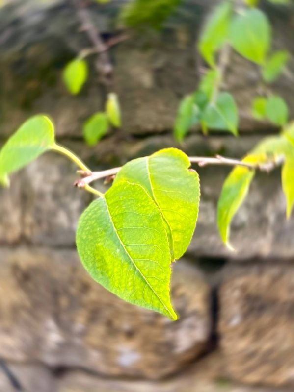 ���� ������: � ������ ���� ����, ������!