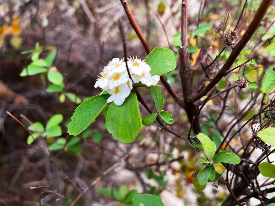 � ������ �����, �������!. ����� ���� ��������� ����������� ���� �������� ��� � ����� � ��� ���! ������� � �������� ��������, t + 10 - +12, ����� ������, ���-��������