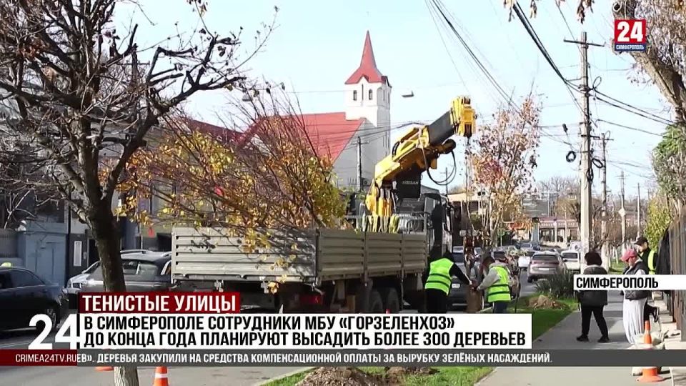 В Симферополе сотрудники МБУ «Горзеленхоз» до конца года планируют высадить более 300 деревьев
