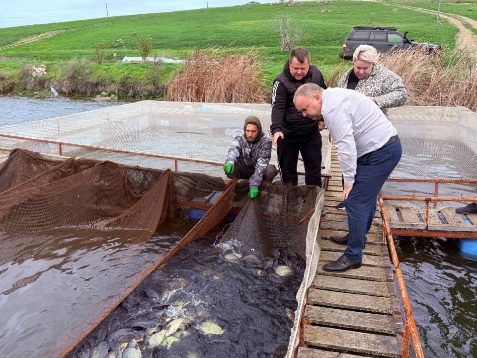 Денис Кратюк: Убедился лично: крымский АПК — это не только сады, виноградники и поля Денис Кратюк: Убедился лично: крымский АПК — это не только сады, виноградники и поля