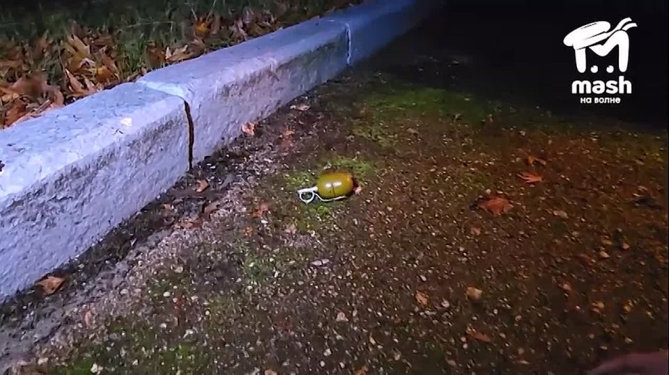 Агент украинской разведки планировал теракт против офицера Минобороны в Крыму — во время задержания попытался взорвать ручную гранату