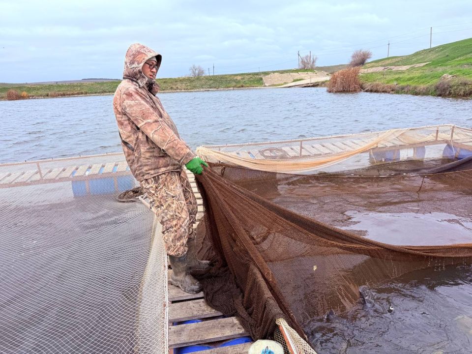 Денис Кратюк: Убедился лично: крымский АПК — это не только сады, виноградники и поля Денис Кратюк: Убедился лично: крымский АПК — это не только сады, виноградники и поля
