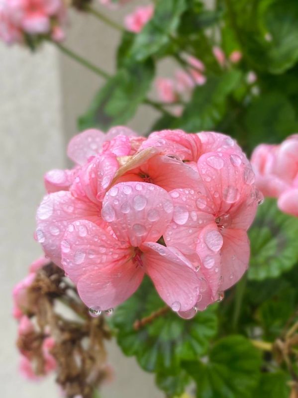 ���� ������: � ������ ���� ����, ������!