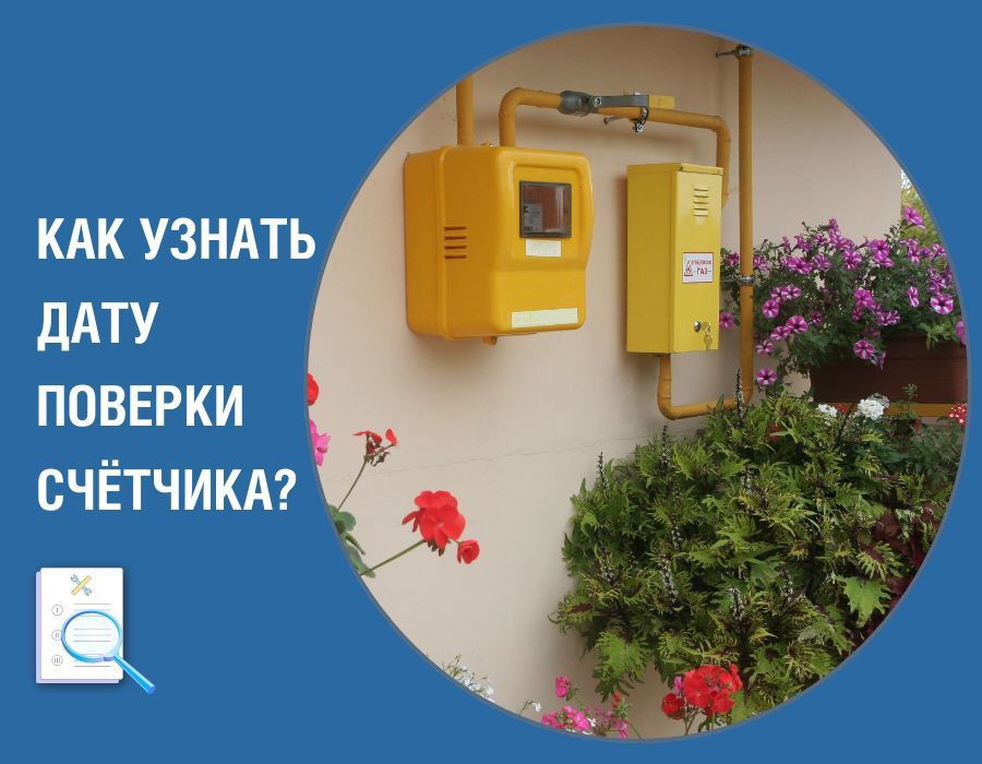 �����������: ��� ������, ����� ����� ������ ������� �������� ����