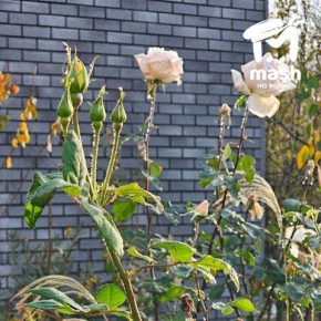 Немного зимнего полуострова вам в ленту