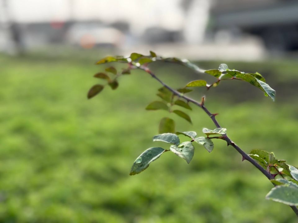 ���������� ������ ���������� ��������� ���������� ��������� �������� ������ � ������ ������� ������