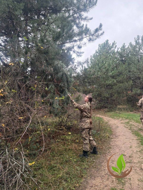 ����� �������: ���������� ���� � �� �� ����!