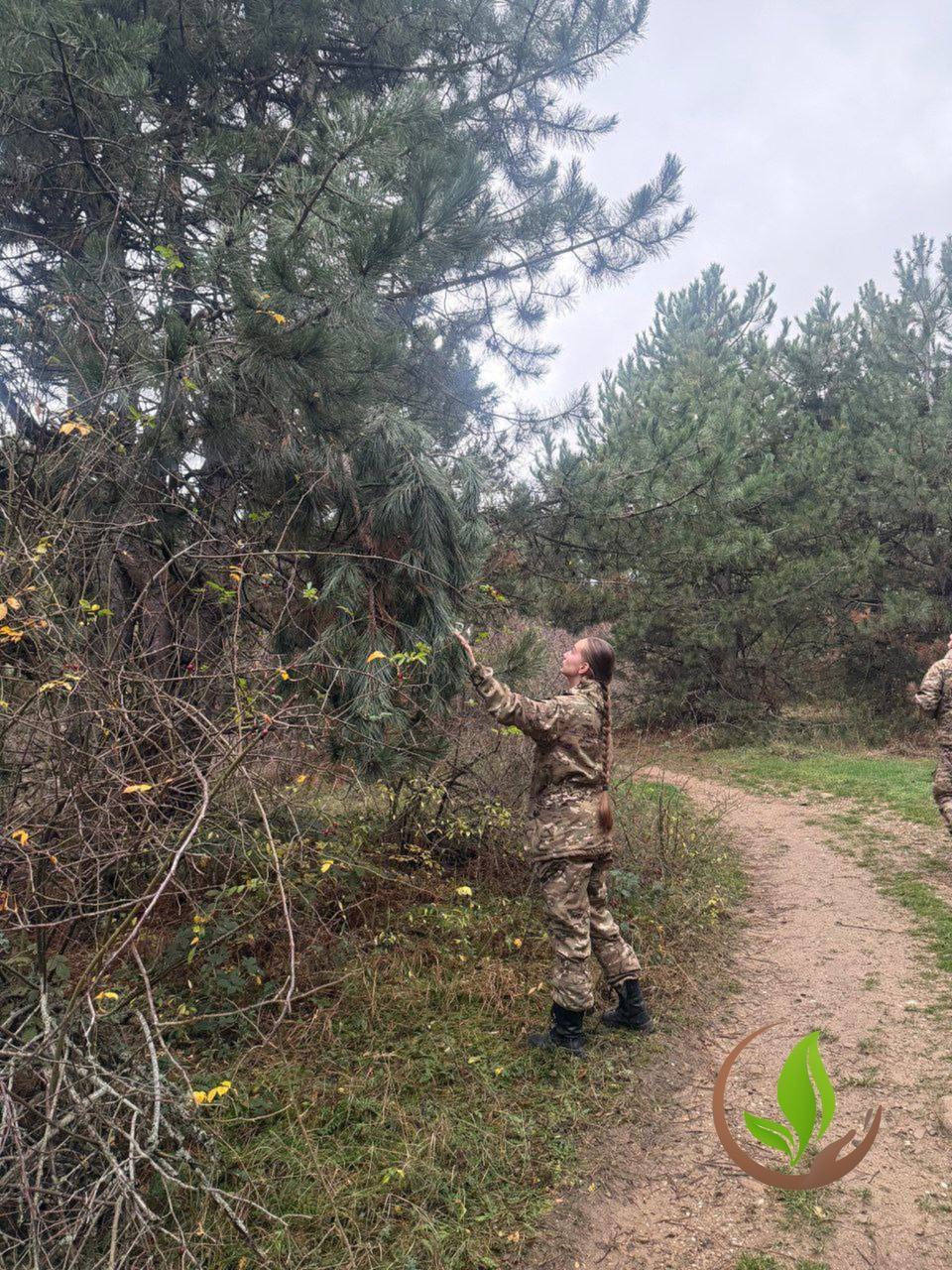 Ольга Шевцова: Новогодняя ёлка — не из леса! Ольга Шевцова: Новогодняя ёлка — не из леса!